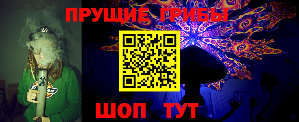 Псилоцибиновые грибы GOLDEN TEACHER  Вход с VPN  купить   Зеленокумск  Галлюциногенные грибы мицелий 